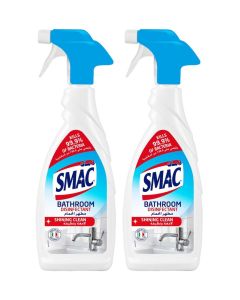 Express Bathroom Disinfectant Citrus, Value Pack Of 2 650ml