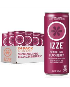 IZZE Sparkling Water Juice Beverage Blend Blackberry No Sugar Added 84 FL OZ 24 Cans