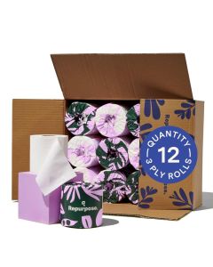 Repurpose 100 Bamboo Toilet Paper 3Ply TreeFree PlasticFree FSC Certified Septic Safe Fast Dissolving RVFriendly 12 Rolls 300 SheetsRoll No FragranceDyes
