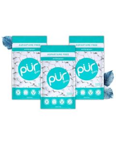 PUR Gum Aspartame Free Chewing Gum 100 Xylitol Natural Wintergreen Flavored Gum 55 Pieces Pack of 3