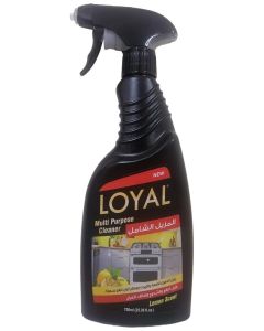 Loyal Multi purpose Cleaner- Remove grease, grime and tough dirt from kitchen tiles, cooker, oven, stainless steel, cooking pots, pans and dishes, Lemon scent, 750 ml