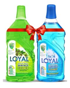 Surface Cleaner 2x800mlL Seaside Breeze + Spring Time