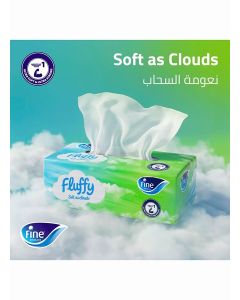 Facial Tissue 200 Sheets 2 Ply Pack of 40