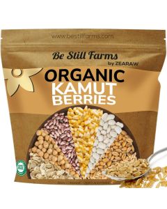 Be Still Farms Organic Kamut Wheat Berries Khorasan 48lb Ancient Whole Grain Bulk Ideal for Flour Pasta Salads Soups High in Fiber Protein USA Grown USDA Certified Vegan NonGMO