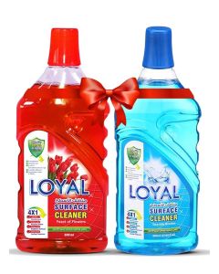 Surface Cleaner 2x800mlL Seaside Breeze + Feast of Flowers