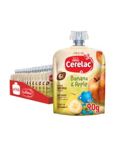 Fruits Puree Pouch In Banana And Apple 90gm Pack Of 16