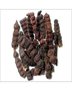 Whole Shikakai Pods Acacia Concinna by Masala Cottage 25g
