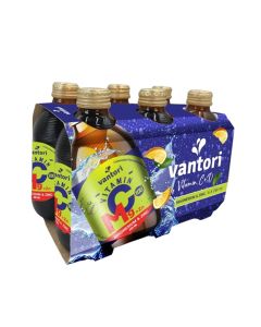 Vantori Vitamin C + Magnesium + Zinc Drink, Immunity & Energy Booster with Natural Orange Flavor,Daily Wellness Supplement Beverage 250ml Pack of 6