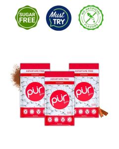 PUR Gum The Company / Sugar-Free + Aspartame-Free Chewing / 100% Xylitol / Cinnamon / Vegan + Non GMO / 55 Pieces per Bag (Pack Of 3, 165 Pieces)