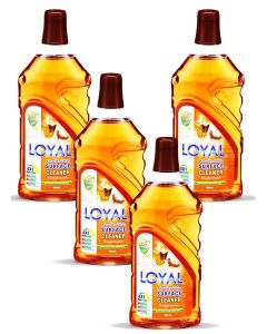 Surface Cleaner 4x800ML Oriental Treasure