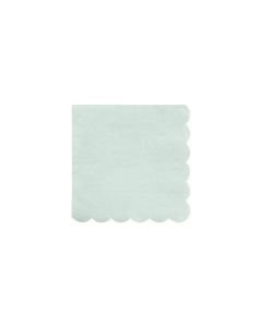 Mint Simply Eco Small Napkins
