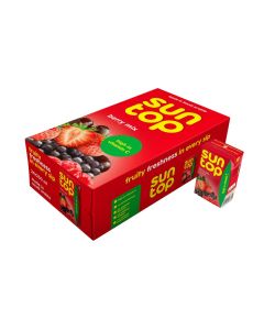 Berrymix Juice 250ml Pack Of 24