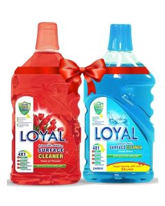 Surface Cleaner 2x2400ml Seaside Breeze + Feast of Flowers