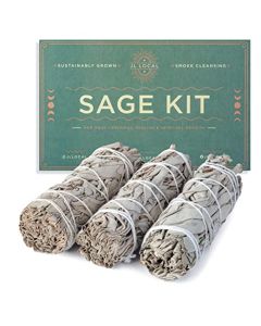 Handcrafted 4 Inch White Sage Sticks Fresh Natural California Sage Smudge Sticks with Instructions Blessings Wand Sage for Cleansing House Negative Energy Other Smudging Rituals