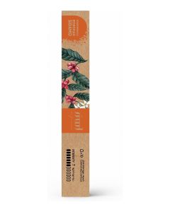 Ethiopian Sidamo Nespresso Biodegradable Coffee Capsules (10 Capsules)