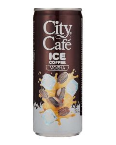 Mocha Iced Coffee Can