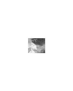Oasis Supply PreCut Insulated Foil Sandwich Wrap Sheets GreaseResistant For Hot Food Items 250 Count 14 x 16