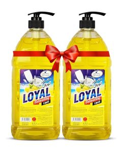 Dishwashing Liquid Lemon and Mountain Herbs 2x2000ml