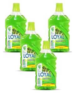 Surface Cleaner 4x2400ML Spring Time