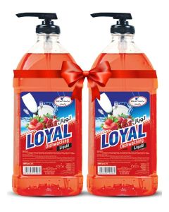 Dishwashing Liquid - Strawberry and Pomegranate 2x2000ml