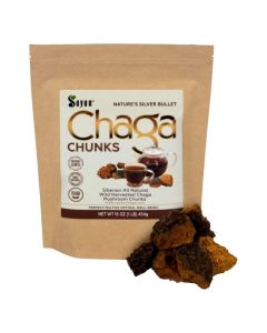 Sayan Siberian Pure Raw Chaga Mushroom Chunks with Black Top Crust 16 Oz 1 lb Premium WildHarvested Antioxidant Tea for Immune Support Focus and Digestive Health NonGMO