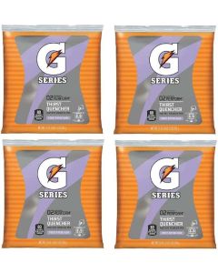 Gatorade Instant Powder Mix, Riptide Rush Flavor, 21-Ounce Bags, Pack of 4
