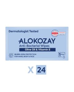Anti Bacterial Wipes 24 Sheets