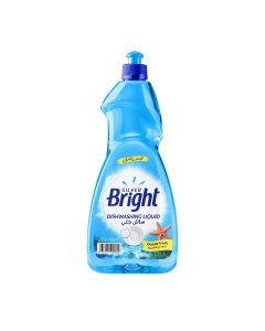 SB DISHWASHING LIQUID OCEAN FRESH 725ML