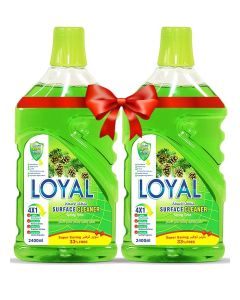 Surface Cleaner 2x2400ML Spring Time