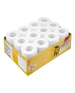 Breeze BRE007 2 ply Toilet Tissue Paper Big, Mega & Family Sanitary Rolls 3X Thicker, Extra Soft & Highly Absorbent (Pack Of 12 x 250 Sheets, 11 x 10 cm)