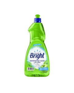 SB DISHWASHING LIQUID APPLE&MINT 725ML