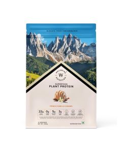 Wellbeing Nutrition Organic Vegan Plant Protein Isolate, French Vanilla Caramel, 500gm