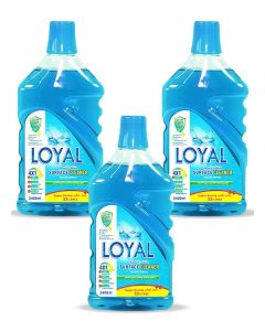 Surface Cleaner 3x2400ML Seaside Breeze